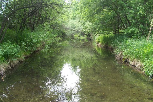 Bild "Gewässer:kalterbach_1.JPG"
